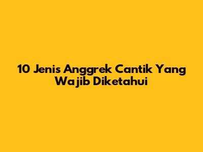 10 Jenis Anggrek Cantik Yang Wajib Diketahui