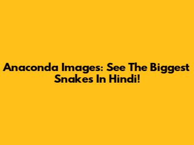 Anaconda Images: See The Biggest Snakes In Hindi!