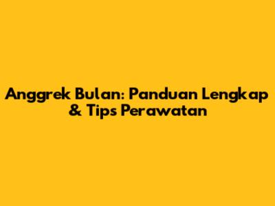 Anggrek Bulan: Panduan Lengkap & Tips Perawatan