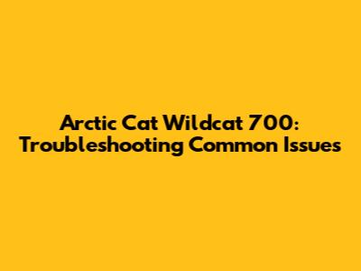 Arctic Cat Wildcat 700: Troubleshooting Common Issues