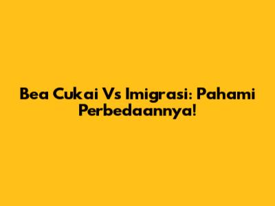 Bea Cukai Vs Imigrasi: Pahami Perbedaannya!