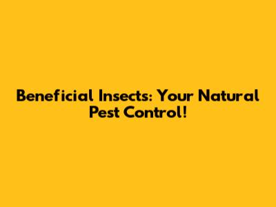 Beneficial Insects: Your Natural Pest Control!