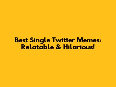 Best Single Twitter Memes: Relatable & Hilarious!