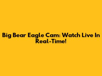 Big Bear Eagle Cam: Watch Live In Real-Time!
