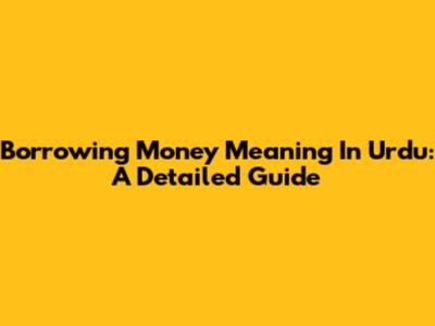 Borrowing Money Meaning In Urdu: A Detailed Guide