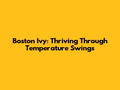 Boston Ivy: Thriving Through Temperature Swings