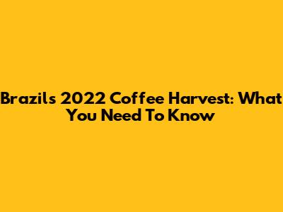 Brazil's 2022 Coffee Harvest: What You Need To Know