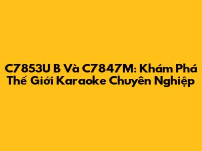 C7853U B Và C7847M: Khám Phá Thế Giới Karaoke Chuyên Nghiệp