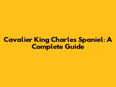 Cavalier King Charles Spaniel: A Complete Guide