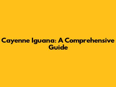 Cayenne Iguana: A Comprehensive Guide
