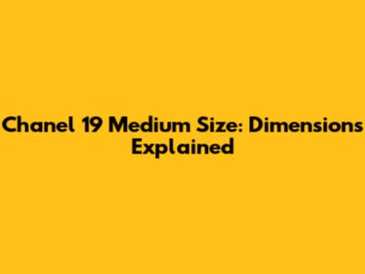 Chanel 19 Medium Size: Dimensions Explained