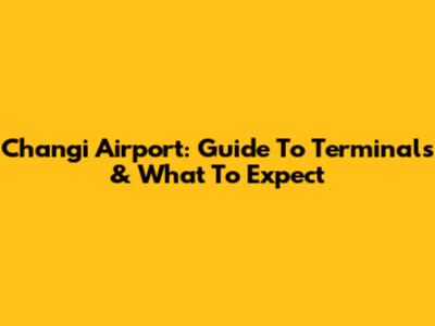 Changi Airport: Guide To Terminals & What To Expect