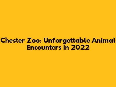Chester Zoo: Unforgettable Animal Encounters In 2022