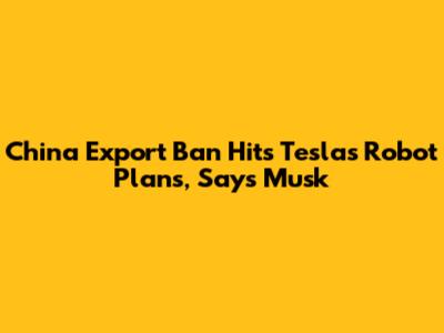 China Export Ban Hits Tesla's Robot Plans, Says Musk