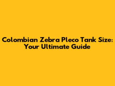 Colombian Zebra Pleco Tank Size: Your Ultimate Guide