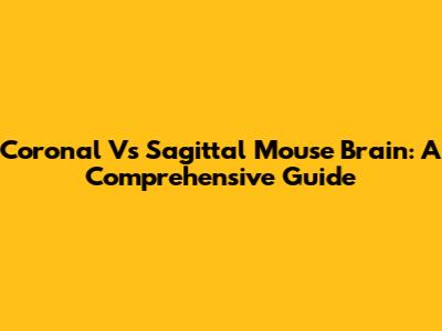 Coronal Vs Sagittal Mouse Brain: A Comprehensive Guide
