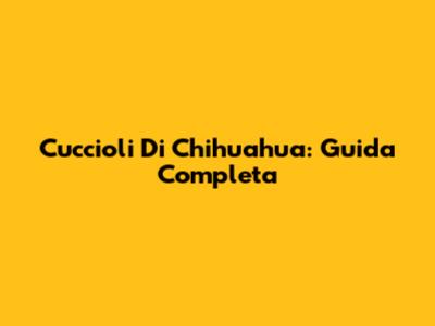 Cuccioli Di Chihuahua: Guida Completa