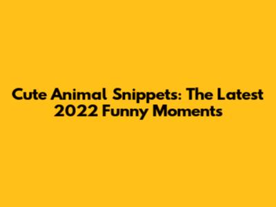 Cute Animal Snippets: The Latest 2022 Funny Moments