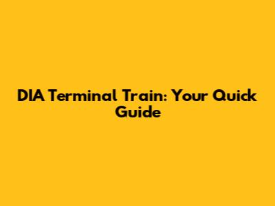 DIA Terminal Train: Your Quick Guide