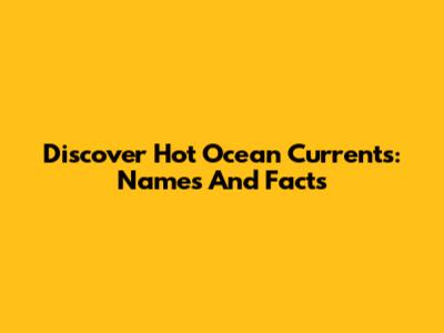 Discover Hot Ocean Currents: Names And Facts