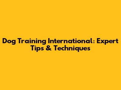 Dog Training International: Expert Tips & Techniques