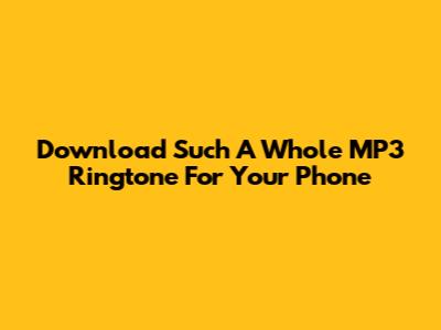 Download Such A Whole MP3 Ringtone For Your Phone