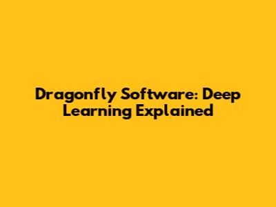 Dragonfly Software: Deep Learning Explained