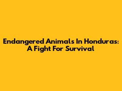 Endangered Animals In Honduras: A Fight For Survival