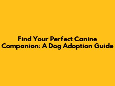 Find Your Perfect Canine Companion: A Dog Adoption Guide