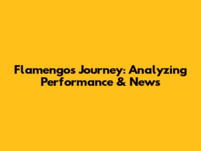 Flamengo's Journey: Analyzing Performance & News