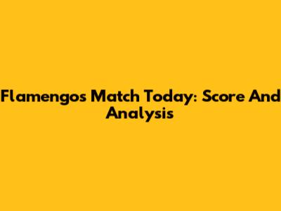 Flamengo's Match Today: Score And Analysis