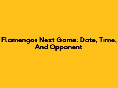 Flamengo's Next Game: Date, Time, And Opponent