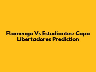 Flamengo Vs Estudiantes: Copa Libertadores Prediction