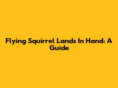 Flying Squirrel Lands In Hand: A Guide