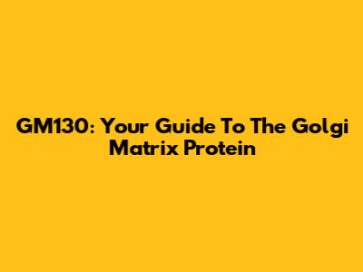 GM130: Your Guide To The Golgi Matrix Protein