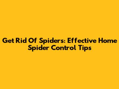Get Rid Of Spiders: Effective Home Spider Control Tips