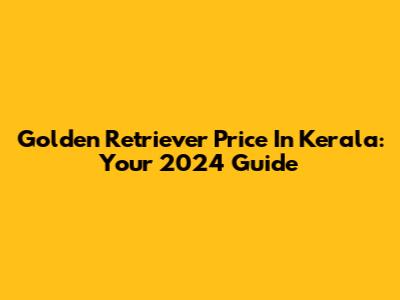Golden Retriever Price In Kerala: Your 2024 Guide