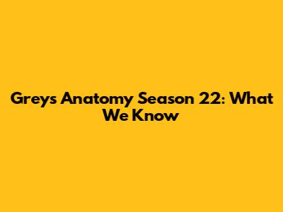 Grey's Anatomy Season 22: What We Know