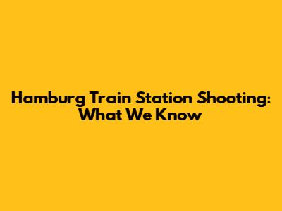 Hamburg Train Station Shooting: What We Know