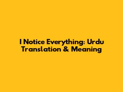 I Notice Everything: Urdu Translation & Meaning