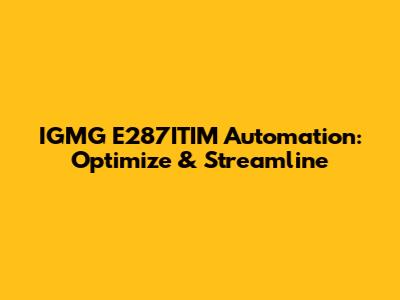 IGMG E287ITIM Automation: Optimize & Streamline