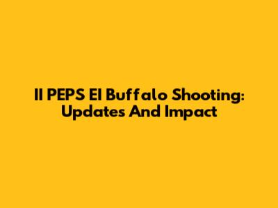 II PEPS EI Buffalo Shooting: Updates And Impact