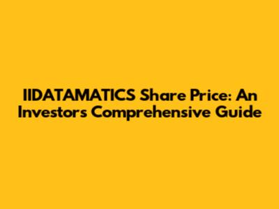 IIDATAMATICS Share Price: An Investor's Comprehensive Guide