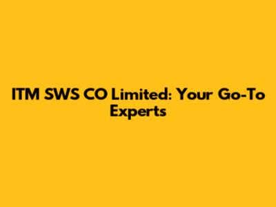 ITM SWS CO Limited: Your Go-To Experts