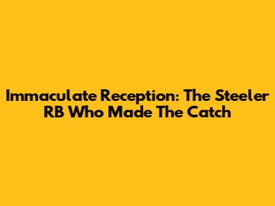 Immaculate Reception: The Steeler RB Who Made The Catch