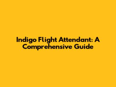 Indigo Flight Attendant: A Comprehensive Guide