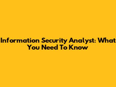Information Security Analyst: What You Need To Know