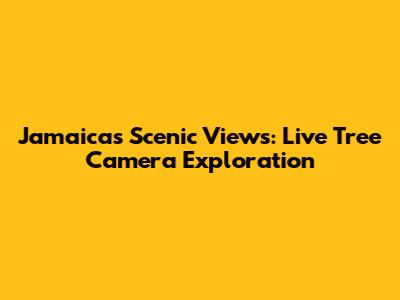 Jamaica's Scenic Views: Live Tree Camera Exploration