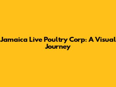 Jamaica Live Poultry Corp: A Visual Journey