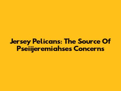 Jersey Pelicans: The Source Of Pseiijeremiahse's Concerns